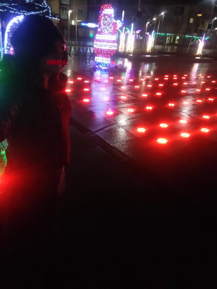 DSC_2508.JPG - iwka40