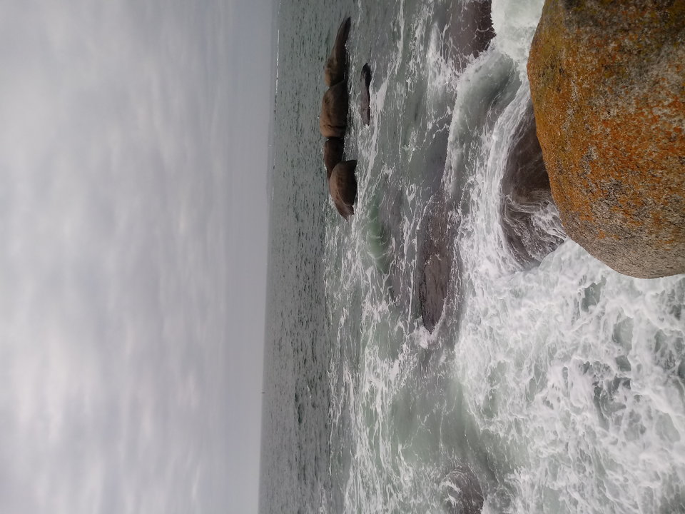 20190217_135340.jpg - baszmak