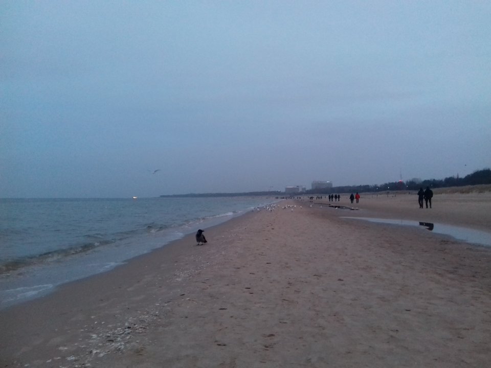 20191225_155414.jpg - torii99