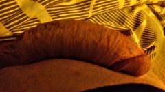 IMG_20191230_012425215~2.jpg