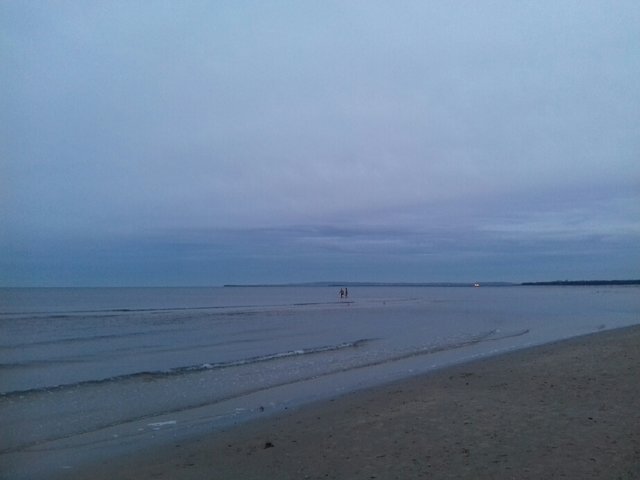 20191230_093931.jpg - torii99