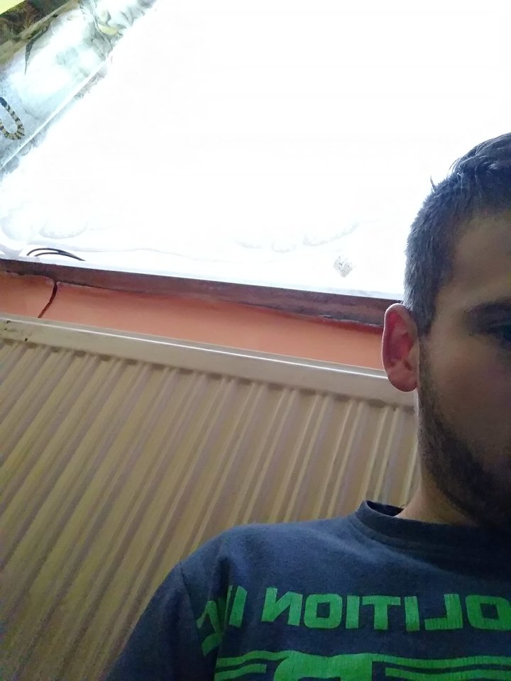 15777029717471806746398.jpg - Falcon04