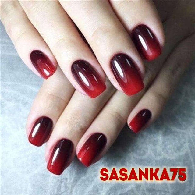 photostudio_1578426110760.jpg - sasanka75