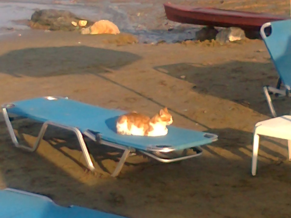 Zdjęcie0110.jpg - CzeslawFromHell