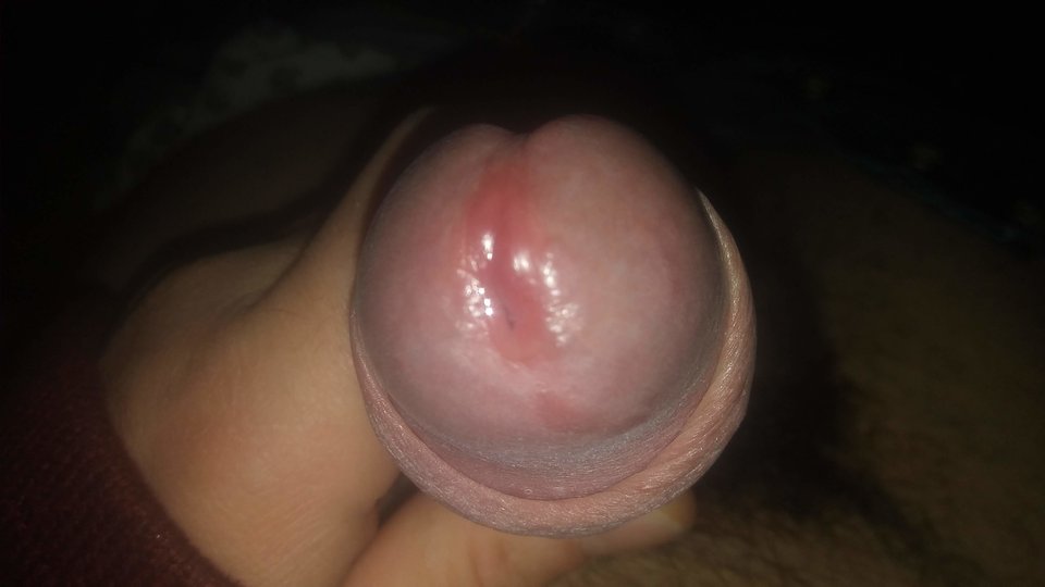 IMG-20191217-WA0019.jpeg - PolDic