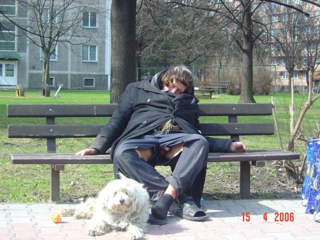 Pierwszy_wiosenny_ptak.jpg - ziikos