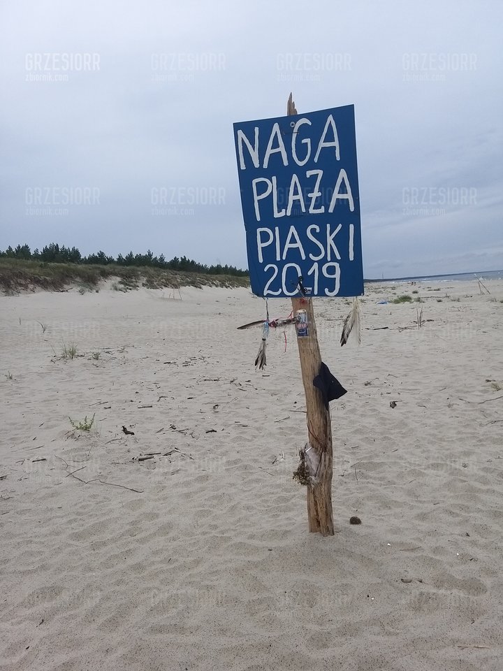 20190819_132418.jpg - grzesiorr