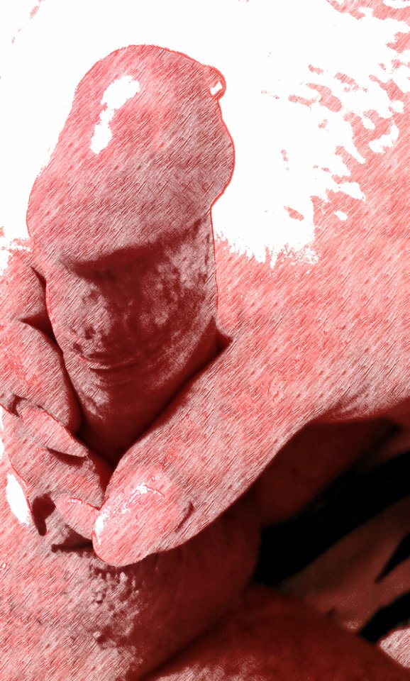 IMG_20200112_122735.jpg - Koteczkiiii