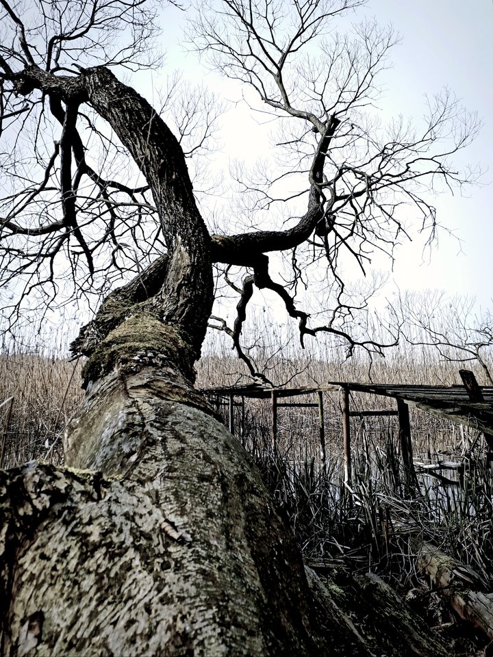 20200114_141113.jpg - Alien65