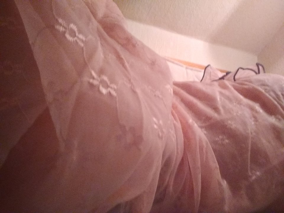 15791169266782011510260309768788.jpg - Palciusia