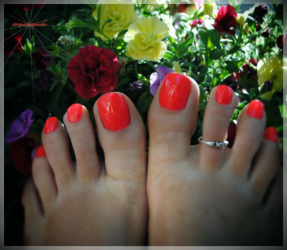 flowers #16 - 100pa100peczka