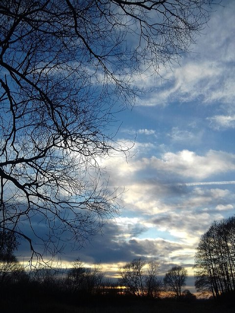 20200115_161510.jpg - torii99