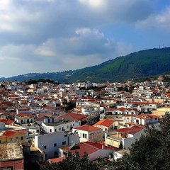 IMG_20200116_084330_358.jpg