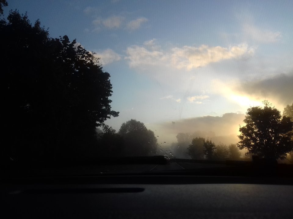 20191004_074327.jpg - torii99