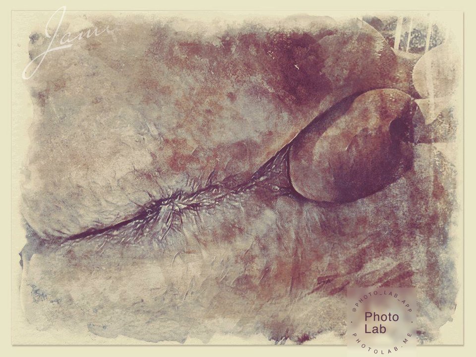764414ad-e160-487e-a8ce-ae7f985dce68.jpg - dino8