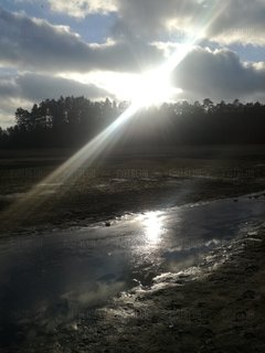 IMG_20200123_Echo skradzione.jpg