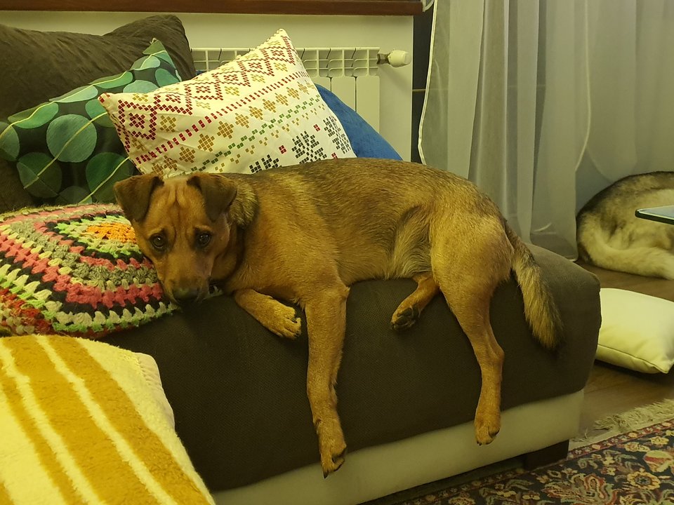 20191105_165205.jpg - fund79