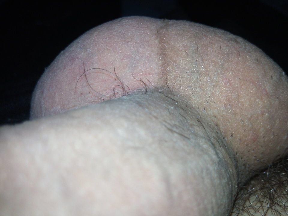 IMG_20200130_160824.jpg - Mrowka72