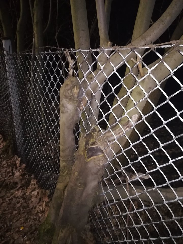 IMG_20190302_202712_resized_20200129_122336725.jpg - jacekplacek12