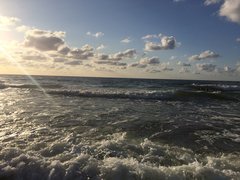 256370F9-15FE-419C-AEB3-022BCA49EC1D.jpeg