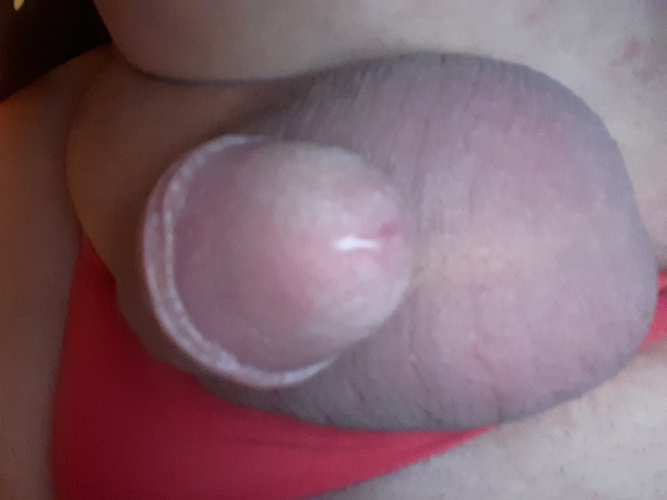 15806049403395486067539878552365.jpg - Wojtek7224