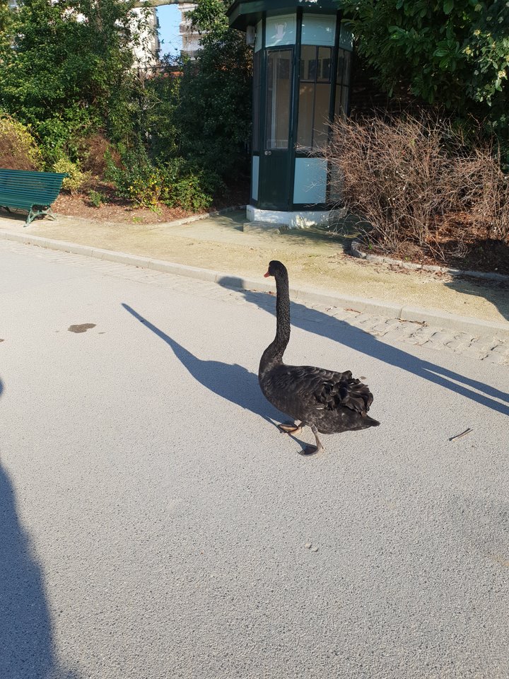 Zbiornikowy... - mpzw2