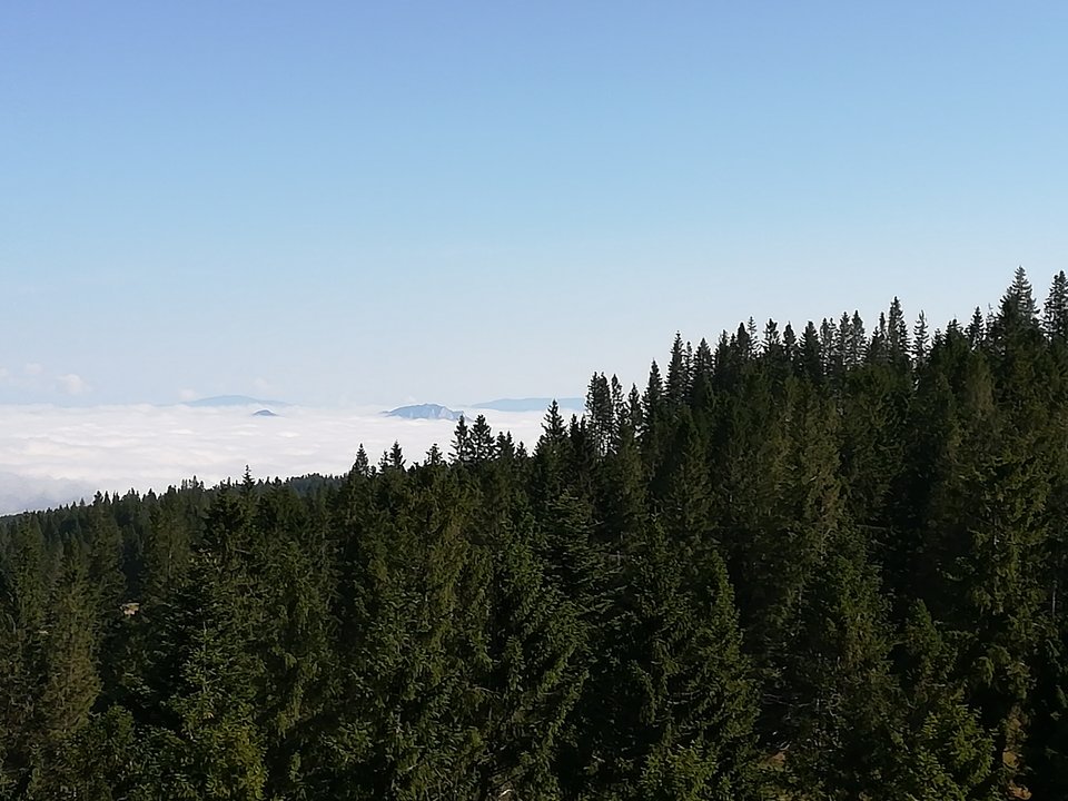 IMG_20190817_093601.jpg - Karolina333