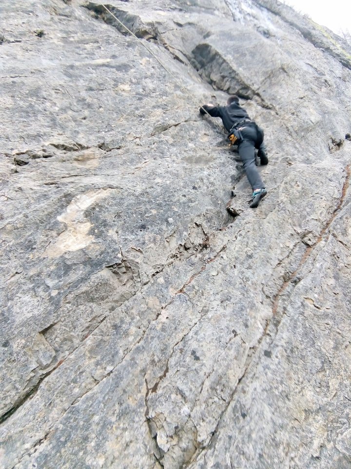 IMG_20190324_153630~2.jpg - AcidManiac