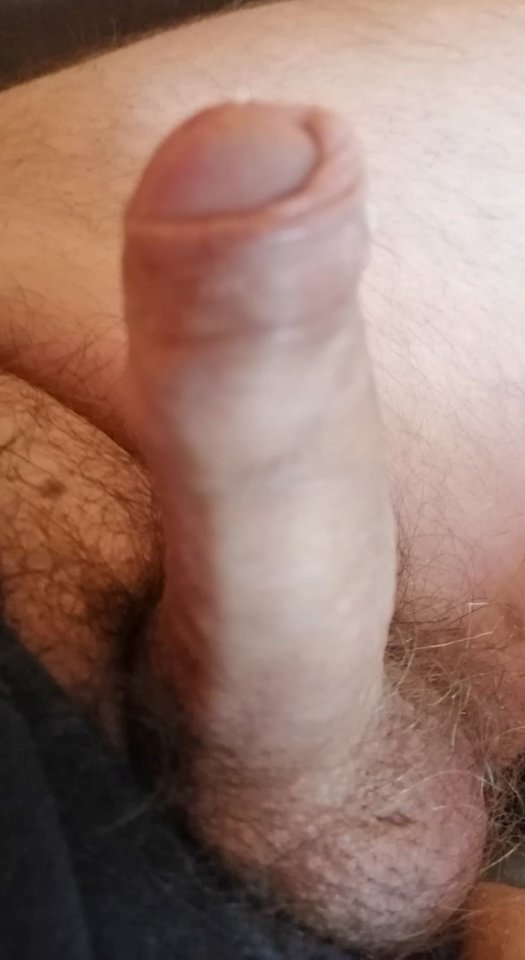 zz.jpg - Cichymisiek