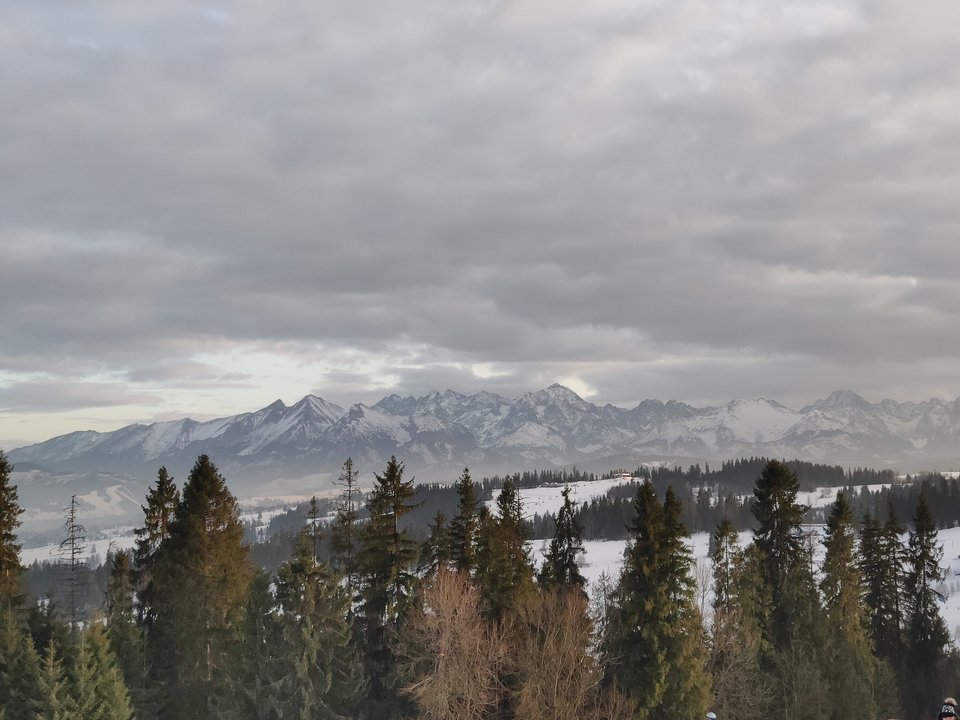 IMG_20200127_154251.jpg - Szukamprzygod2