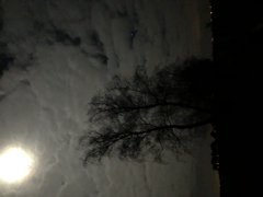 BC64F81A-87E2-4A4A-AA30-69985D4BCAC9.jpeg