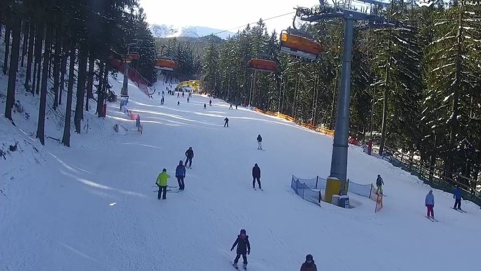 zieleniec_cam_c960f6-bafb0cd2151a7b818411e1e8917d5bd1 kopia 1.jp - Mydwoje0102