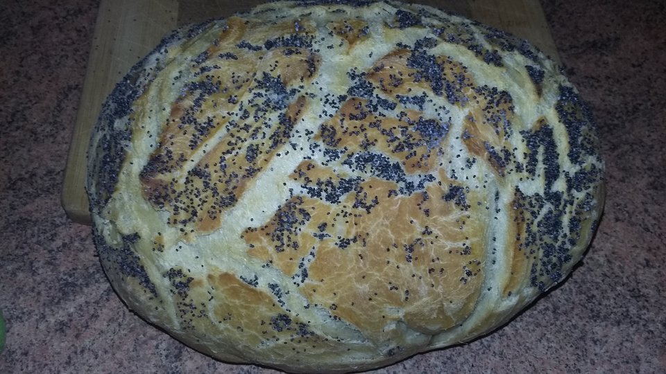 20200208_222015.jpg - larysaflynt