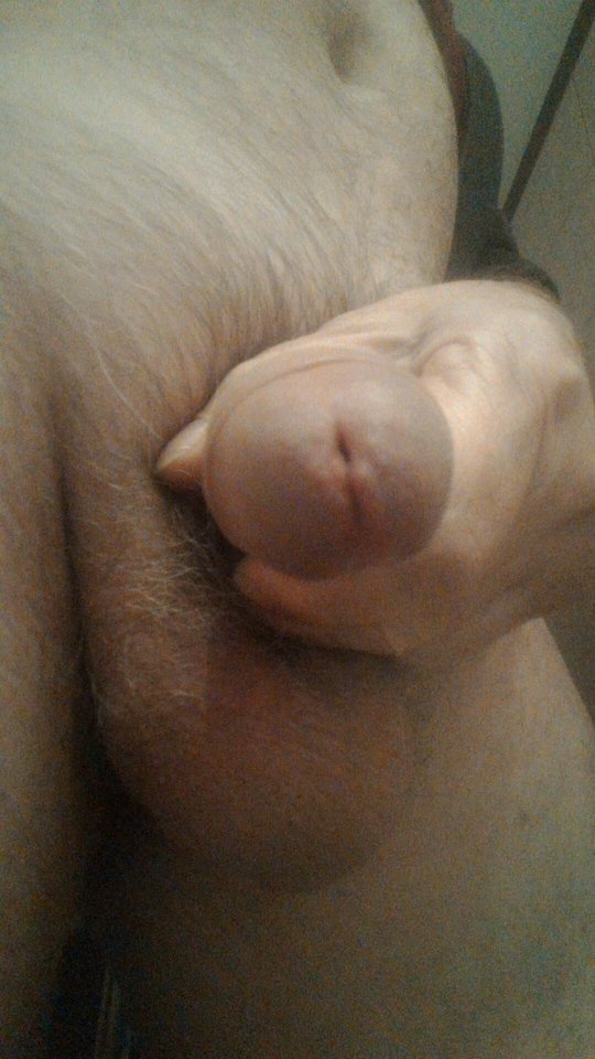 84988509_617877565452221_6020709134335213568_n.jpg - konrad5258