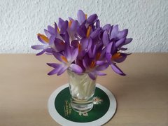 IMG_20200209_103951.jpg