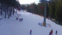 zieleniec_cam_c960f6-2256befbd476b90df410431ce1b8fc3c 1 kop.jpg