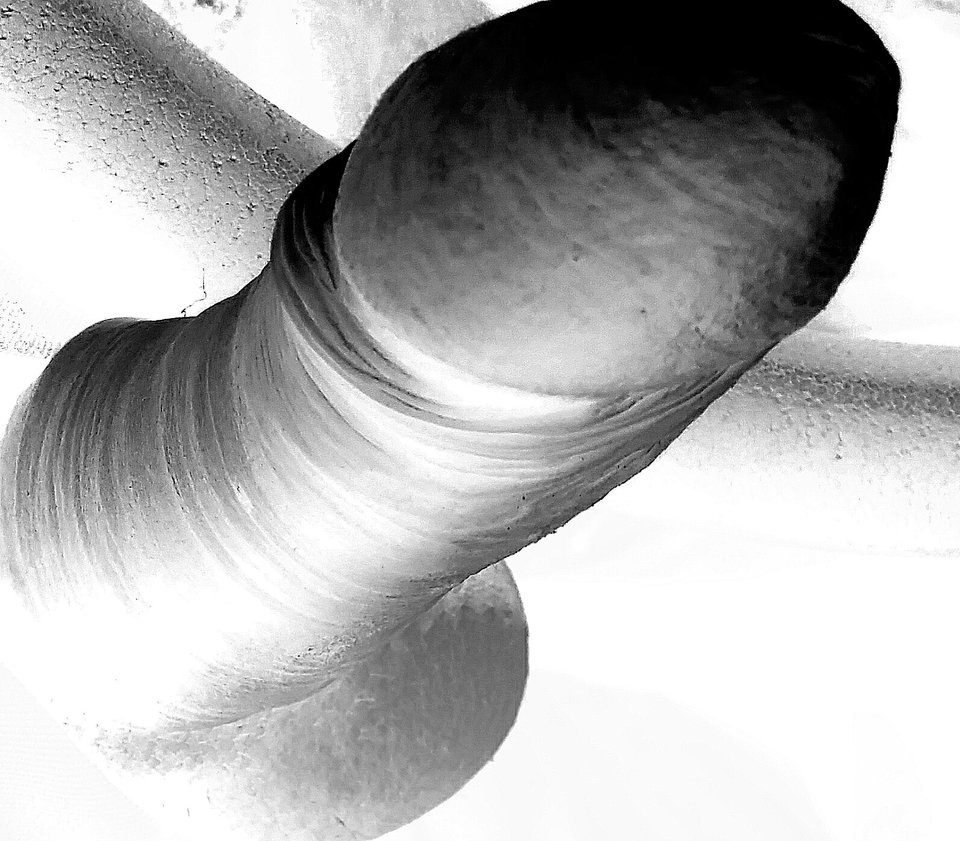 _20200211_100211.JPG - poul1304