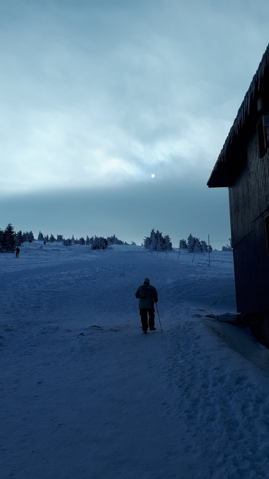 20200209_105206.jpg - seaman