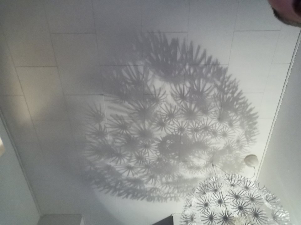 15817829728764474778412465455240.jpg - Voresfraekkeliv