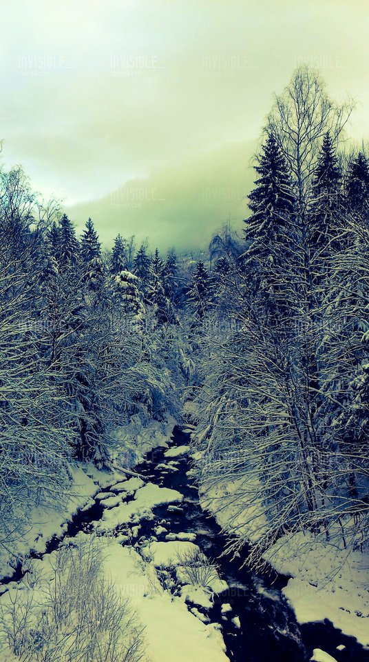 Taki widoczek 😉 - Invisible_