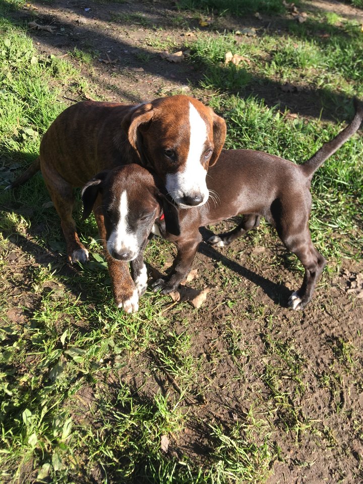 198BDE49-28FE-4A2E-8040-27C328F9BA28.jpeg - NieMaDruchaBorucha