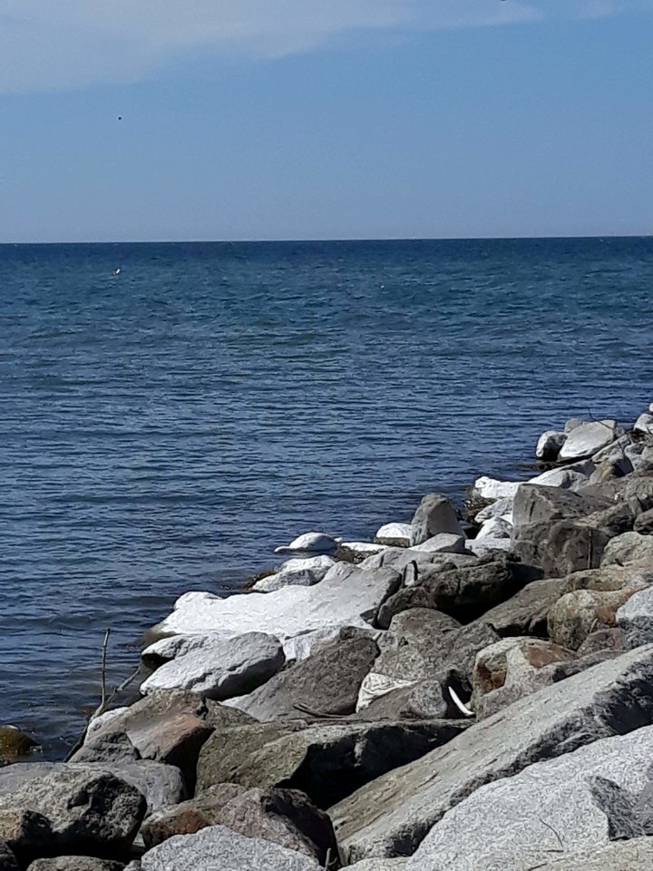 received_10215365195316460.jpeg - PatrykDx