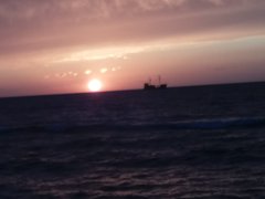 20190811_203524.jpg