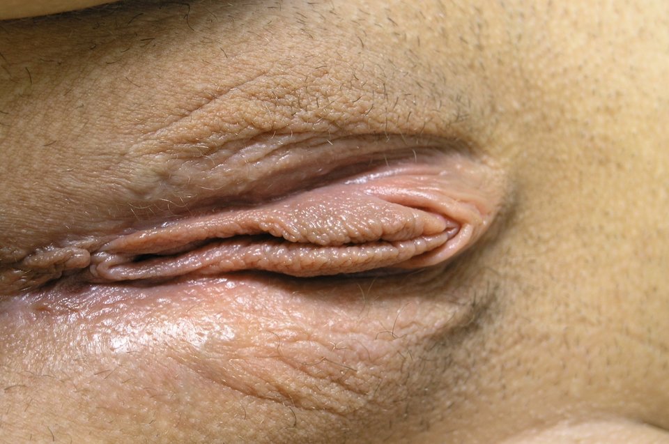 34F7EC4A-A808-4FC1-BFE1-A4605063E035.jpeg - Parabarabar