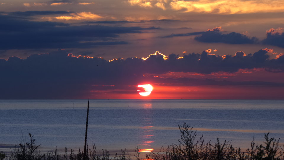 20160630_042051.jpg - lopez3miasto