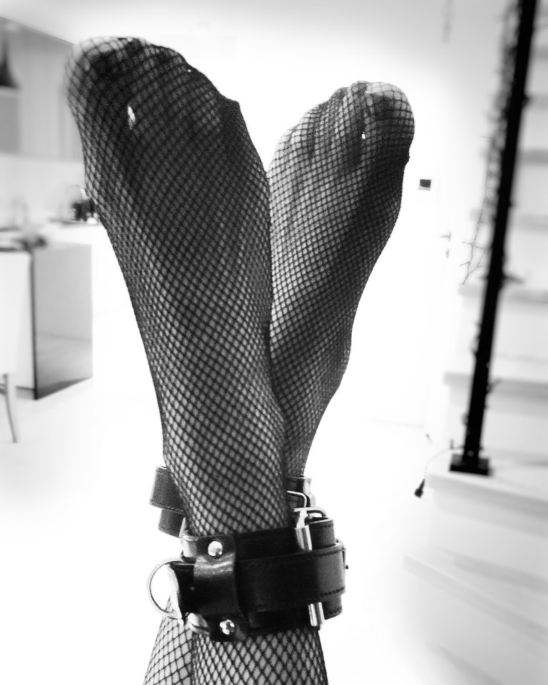 IMG_20190115_171228-01.jpeg - bluebirdsgda