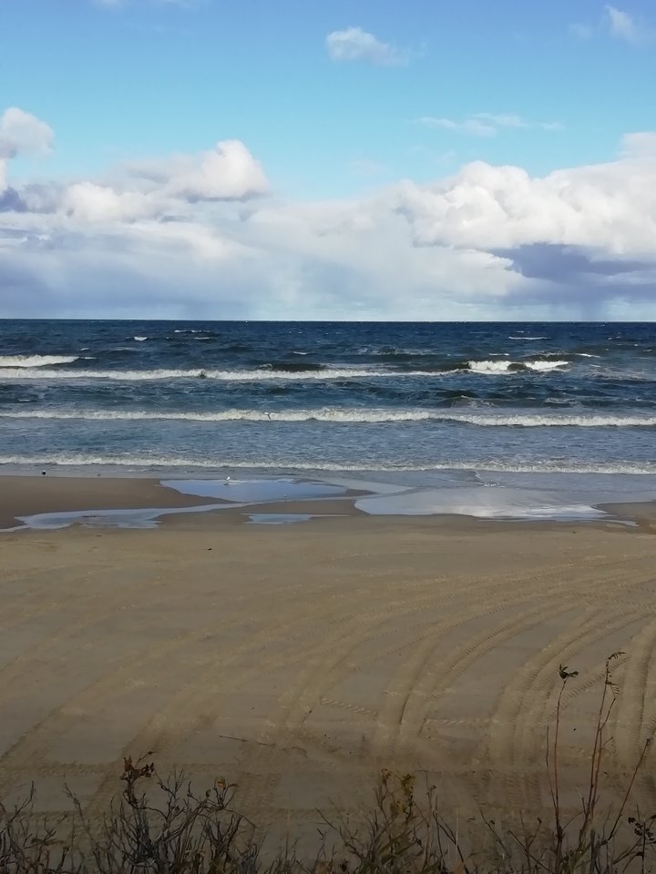 IMG_20191030_102632_1.jpg - paweleksz1