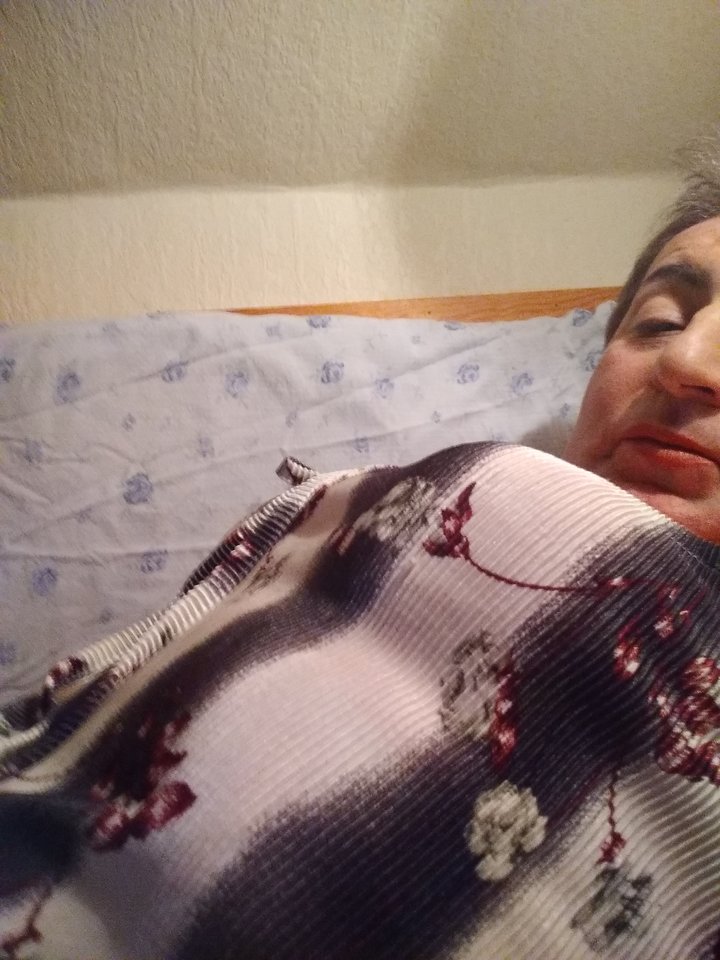 15826639711592869788693024679116.jpg - Palciusia