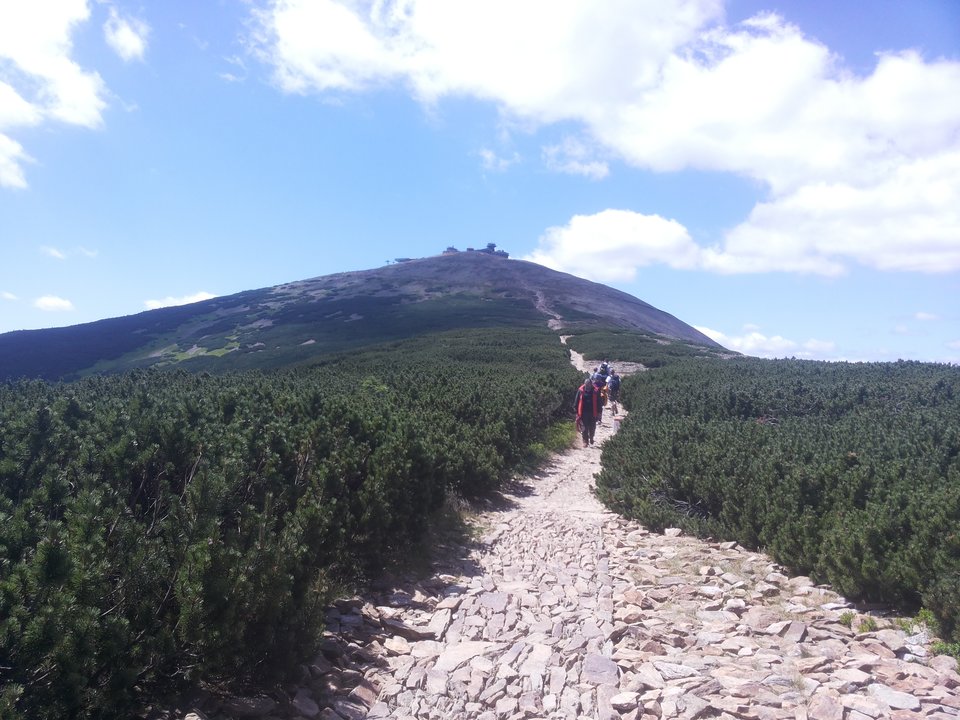 20190703_123233.jpg - realnaimilaparkakrakow