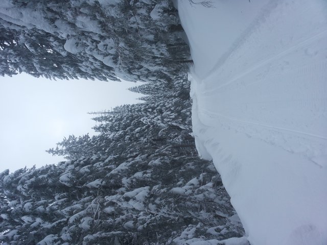 realnaimilaparkakrakow